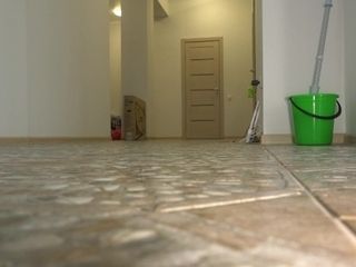 'Observation of plump legs in the office hallway  Foot fetish and ASMR'