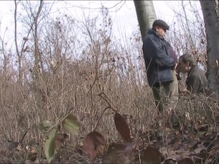 Sexo Oral no Maduro na Floresta